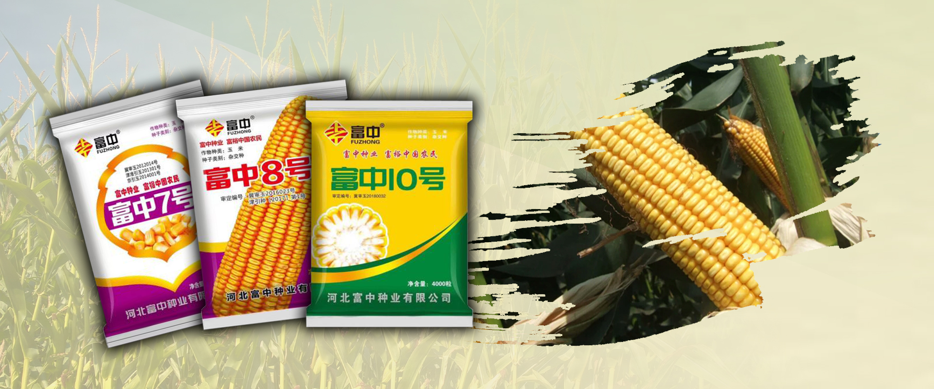 富中種業